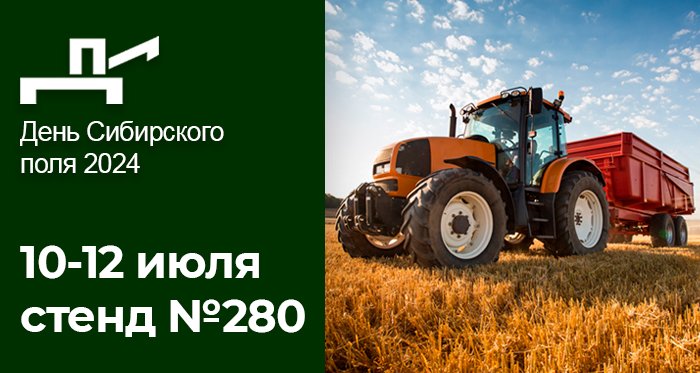 День Поля