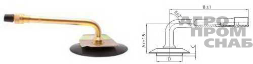 1175.jpg